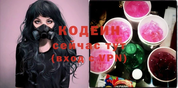 дживик Иннополис